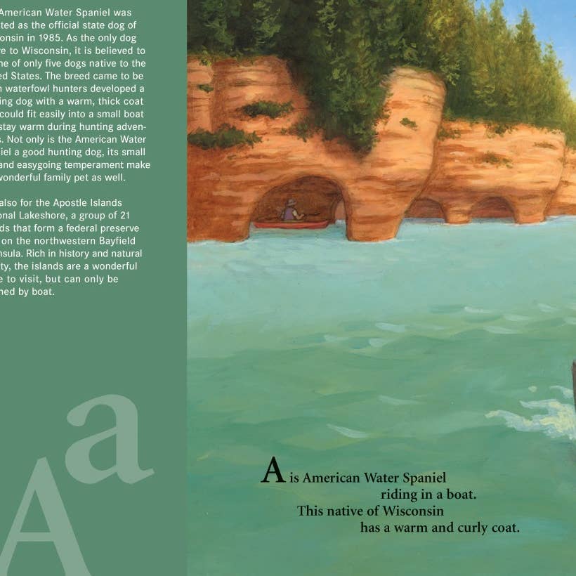 B is for BADGER BOOK