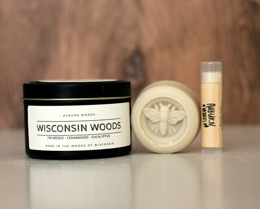 WISCONSIN BEE SET
