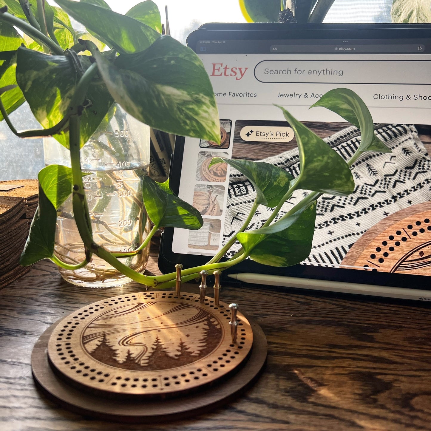 NORTHERN LIGHTS CRIBBAGE BOARD